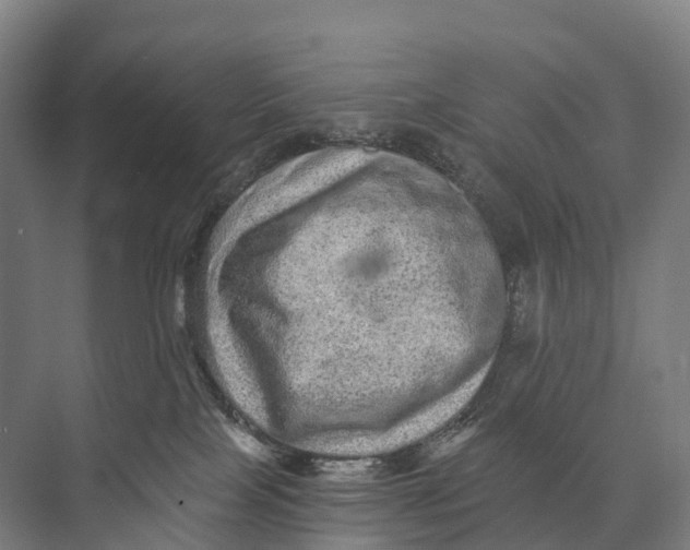 X0000074000089200609181819