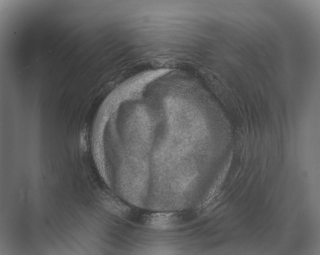 X0000074000090200609181819