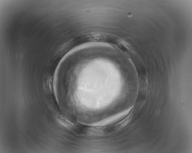 X0000074000094200609181819