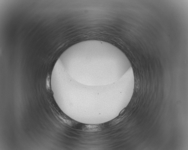 X0000074000095200609181819