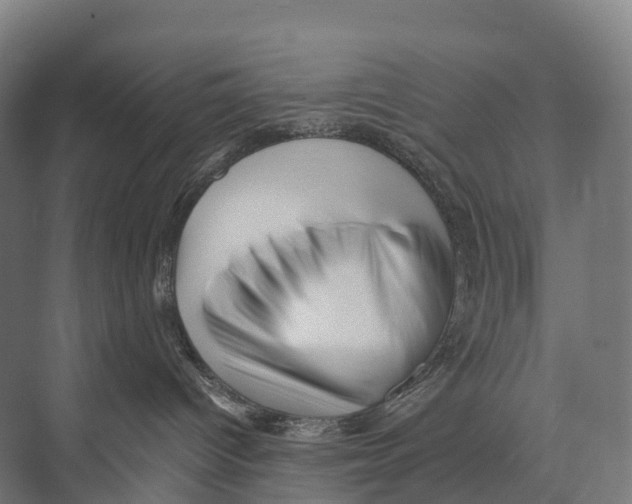 X0000074000096200609181819