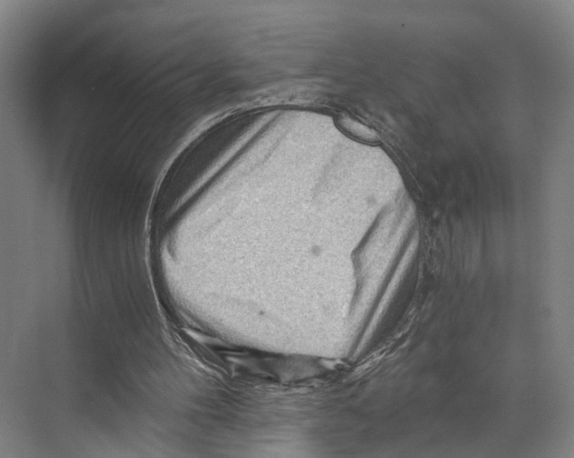 X0000074000100200609181819