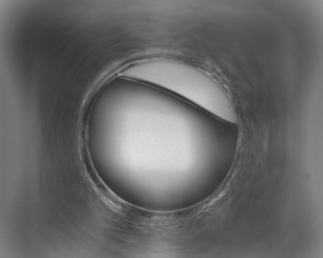 X0000074000101200609181819