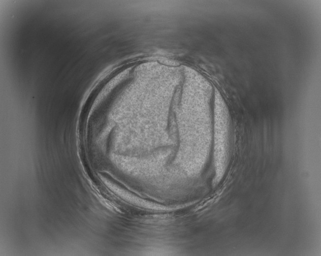 X0000074000102200609181819