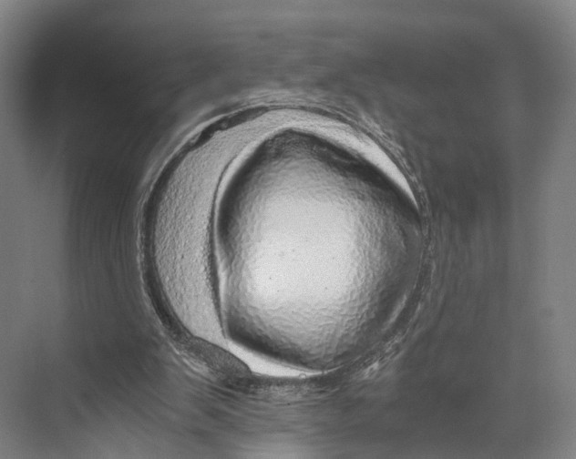 X0000074000103200609181818