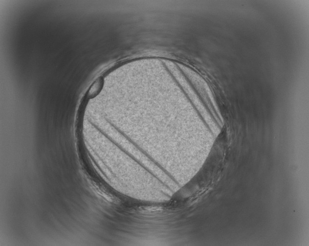 X0000074000104200609181818