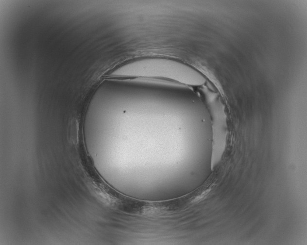 X0000074000109200609181818