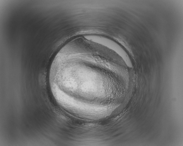 X0000074000111200609181818