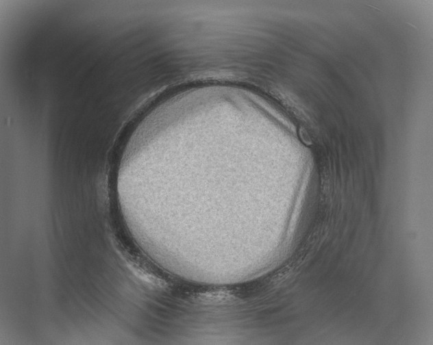 X0000074000112200609181818