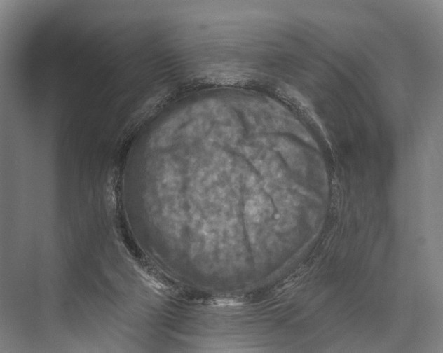 X0000074000114200609181818