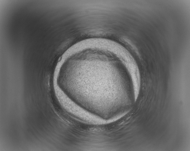 X0000074000115200609181818