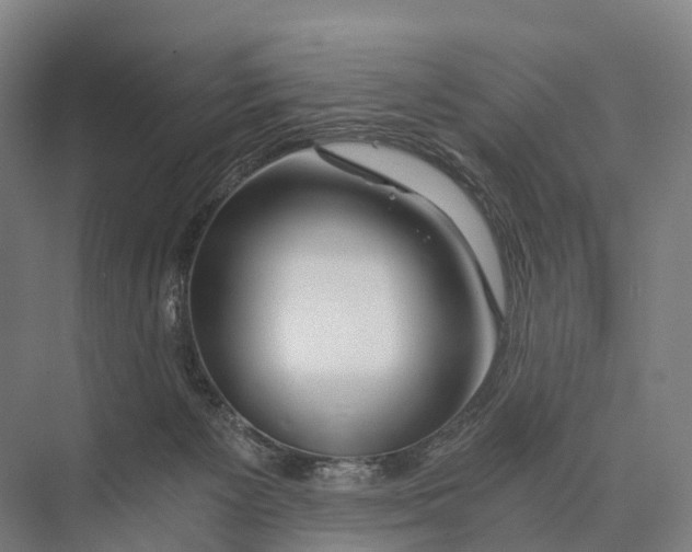 X0000074000125200609181818