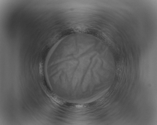 X0000074000130200609181818