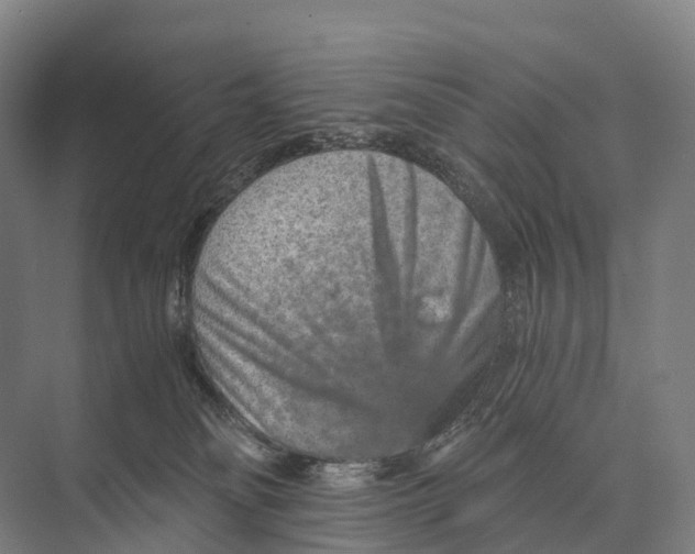 X0000074000134200609181818