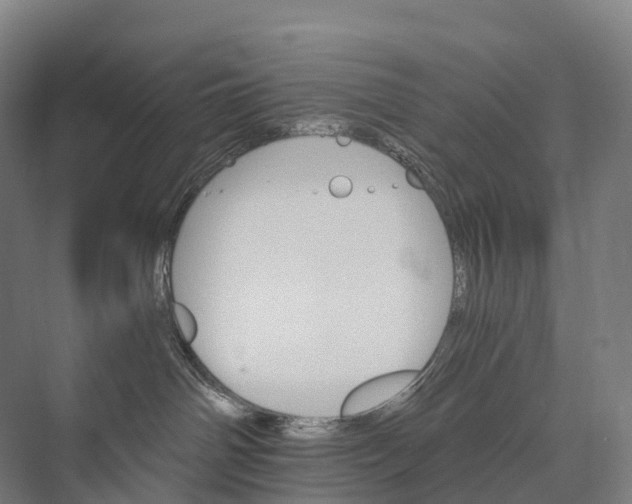 X0000074000142200609181818