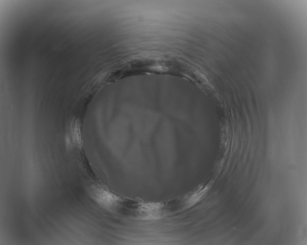 X0000074000143200609181818