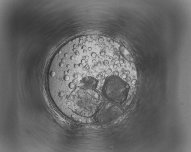 X0000074000145200609181817