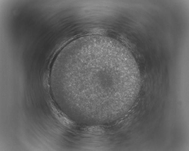 X0000074000146200609181817