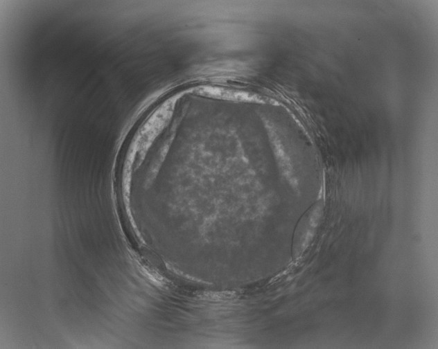 X0000074000147200609181817