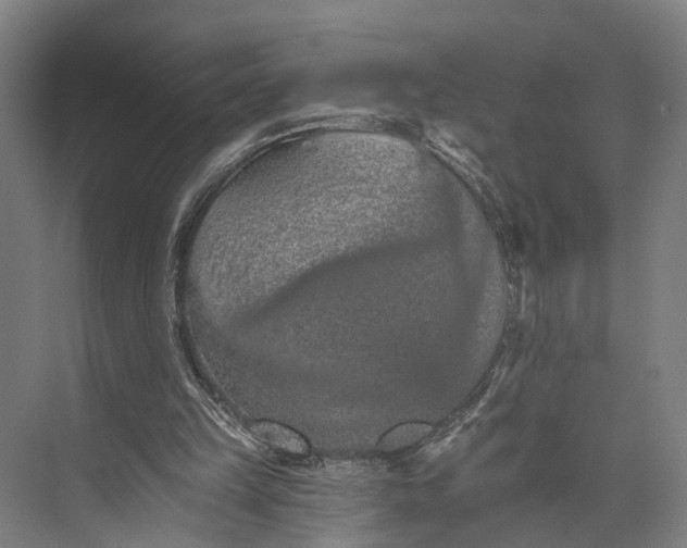 X0000074000149200609181817