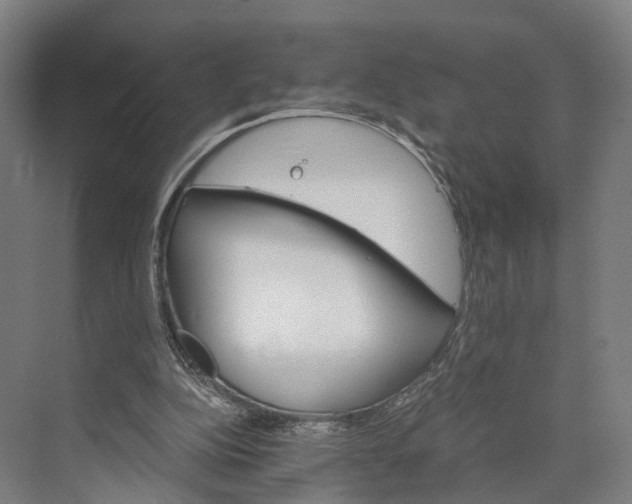 X0000074000152200609181817