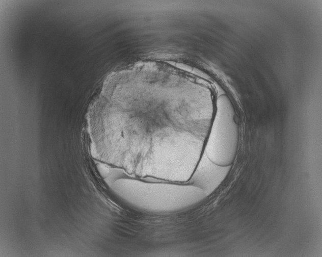 X0000074000153200609181817