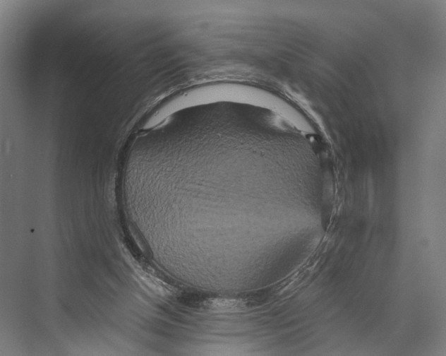 X0000074000154200609181817