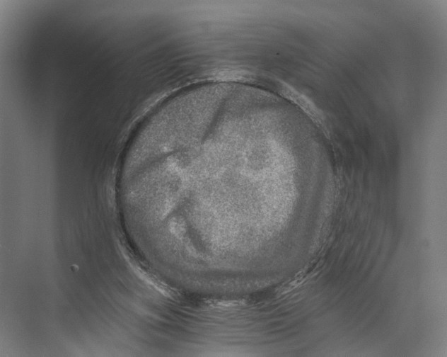 X0000074000155200609181817