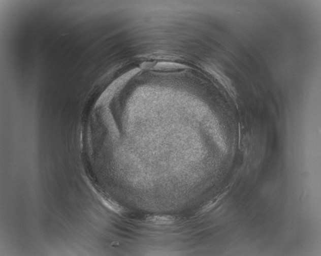 X0000074000157200609181817