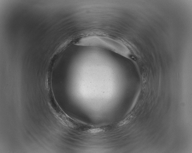 X0000074000158200609181817