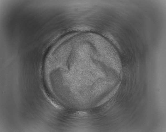 X0000074000159200609181817