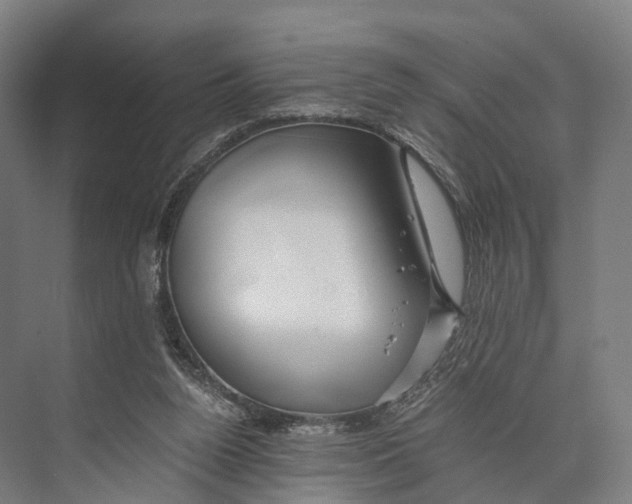 X0000074000160200609181817