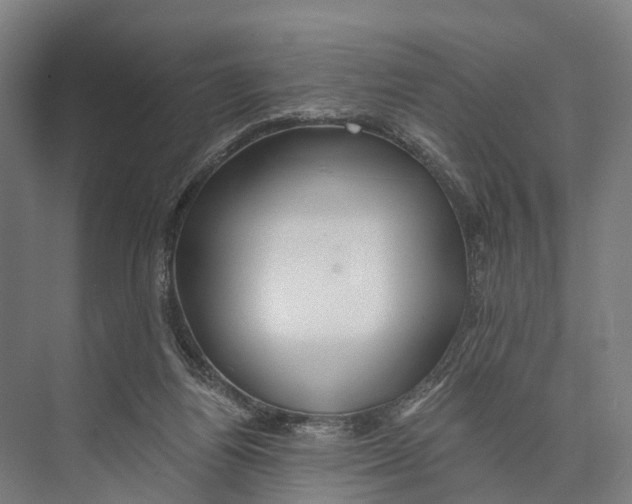 X0000074000164200609181817