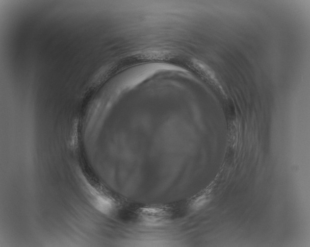 X0000074000167200609181817