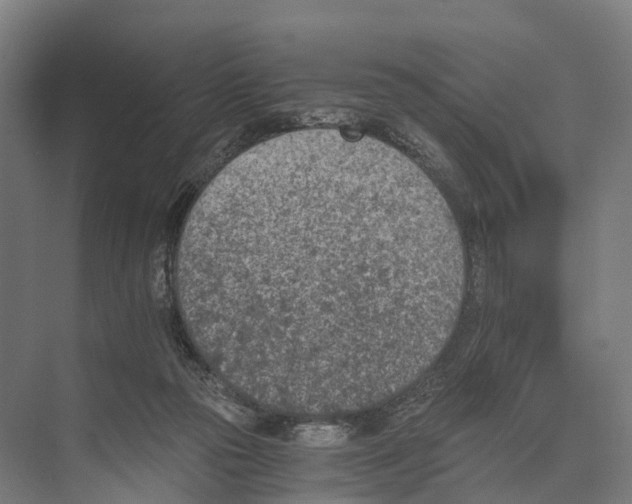 X0000074000169200609181817