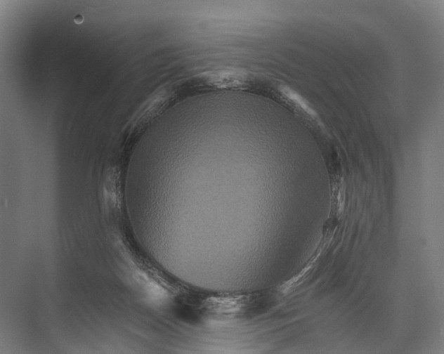 X0000074000170200609181817