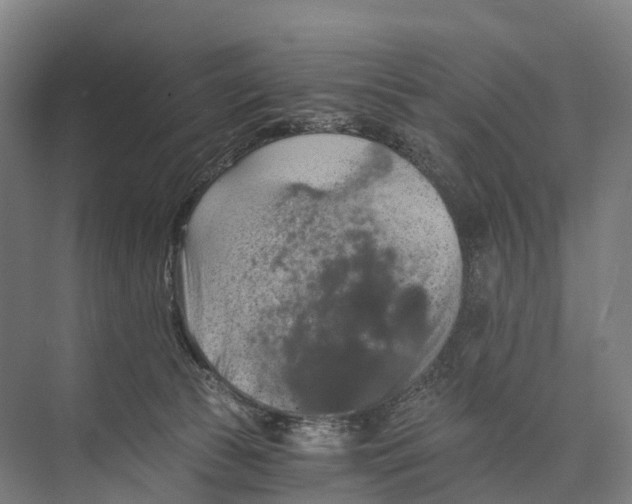 X0000074000177200609181818