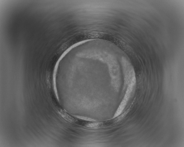 X0000074000178200609181818