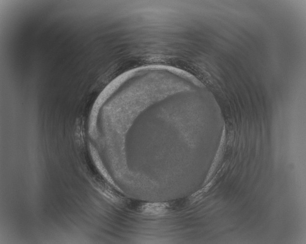 X0000074000179200609181818