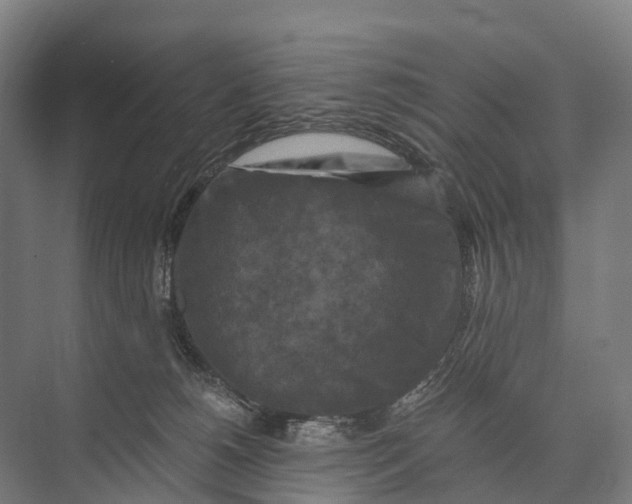 X0000074000180200609181818