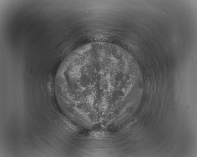 X0000074000181200609181818