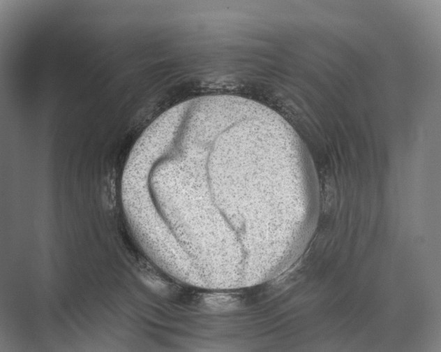 X0000074000183200609181818