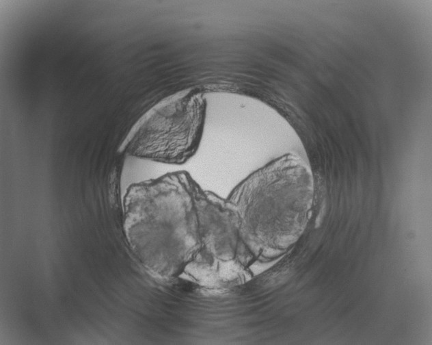 X0000074000189200609181818