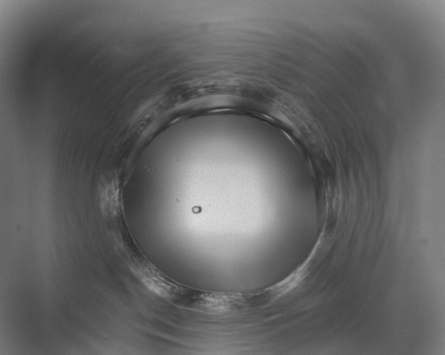 X0000074000190200609181818