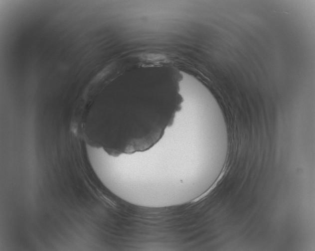 X0000074000191200609181818