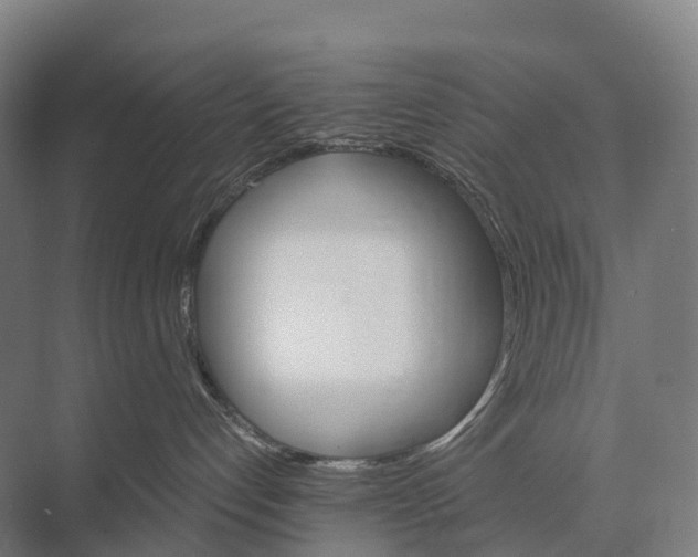 X0000074000192200609181818