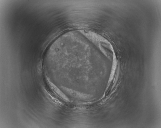 X0000074000194200609181817