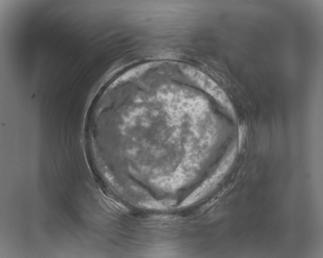 X0000074000195200609181817