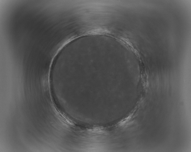 X0000074000196200609181817