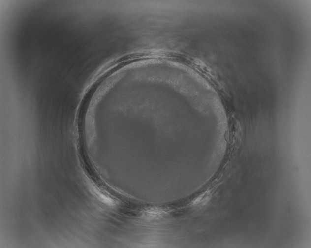 X0000074000198200609181817